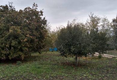 Möbliertes dreistöckiges Haus mit Hof im Hadzhi Dimitar, Region Dobritsch