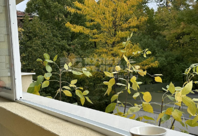 Helle und geräumige Dreizimmerwohnung in Sofia