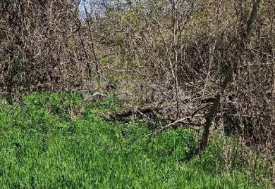 Панорамен парцел за построяване на две къщи в м-т Сотира