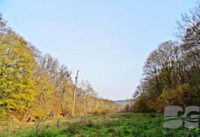 Парцел за жилищно застрояване в с. Звездица