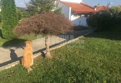 Schönes, komplett möbliertes Haus im Dorf Obrochishte, Dobritsch