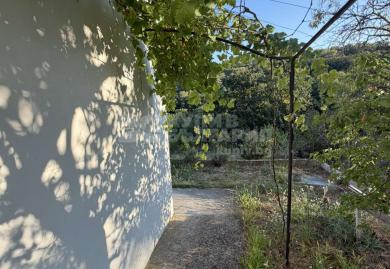 Coastal Retreat in Varna: Charming 3-Bedroom Villa with Forest & Sea Views