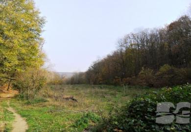 Парцел за жилищно застрояване в с. Звездица