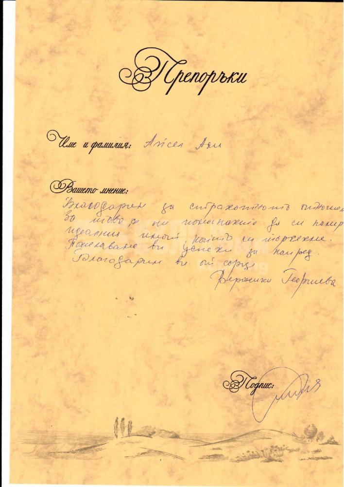 Айсел Али